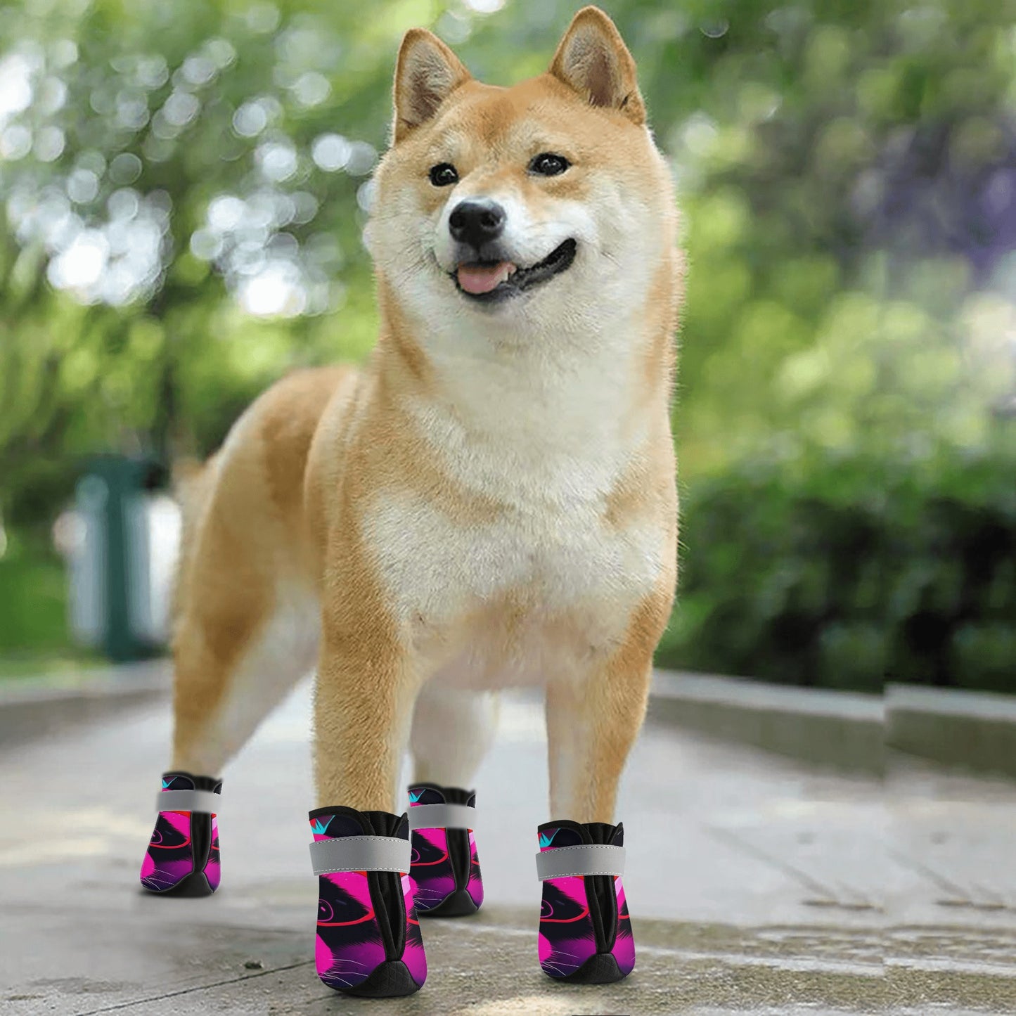 Dakota Non Slip Dog Socks